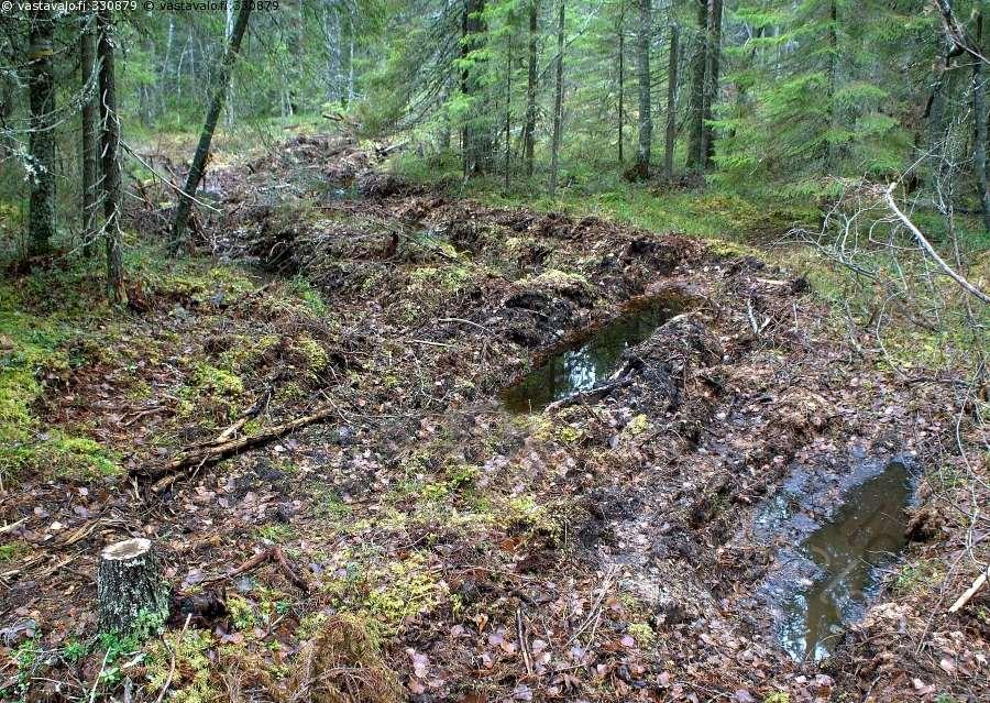 14 Kuva 3. Esimerkki urapainaumasta kuusikossa (Kuva: Vastavalo 2016). 3.3 Vaurioiden seuraukset ja ehkäiseminen Hyvä korjuujälki on tärkeää metsän jatkokehitykselle ja harvennuksesta saatavien hyötyjen toteutumiselle.