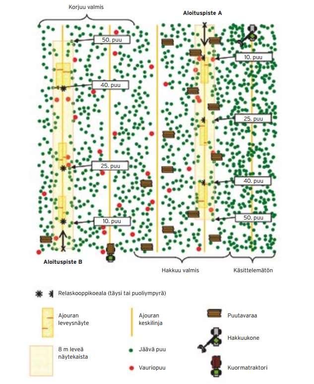 19 Kuva 5. Periaatepiirros korjuujäljen mittausrutiinista (Metsäteho. 2003, 6). 5.1 Mitattavat kohdat koealalta Pohjanpinta-ala, valtapituus ja ajouraleveys mitataan 10:nnen, 25:nnen ja 40:nnen puun kohdalta.