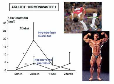 144 HARJOITTELUN FYSIOLOGISET JA BIOMEKAANISET PERUSTEET Kuvio 5.