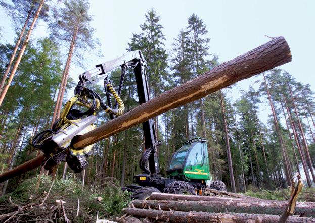 Metsäteollisuus TOL 16 17: sahatavaran sekä puu- ja korkkituotteiden valmistus; paperin, paperi- ja kartonkituotteiden valmistus n metsäteollisuuden liikevaihto väheni 17 prosenttia vuonna verrattuna
