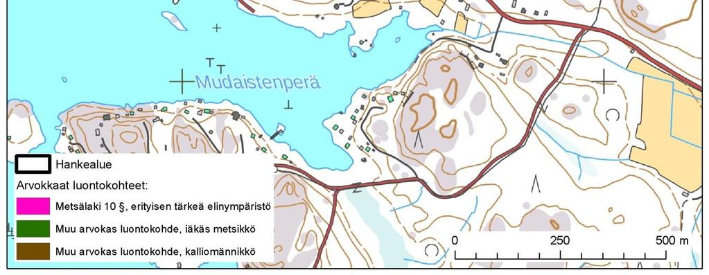 asemakaavan luontoselvityksen yhteydessä havaittiin
