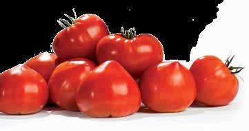 Mini San Marzano -tomaatti CAPRESE Pienet, pitkulaiset ja tosi makeat hedelmät ovat kuin karamelleja. Helppo viljellä.