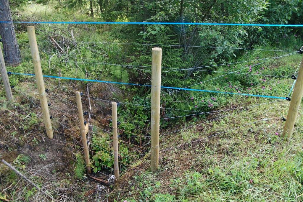 Sähköistetyt petoaidat ovat pääsääntöisesti Suomessa 140 cm korkeita ja 5-7 lankaisia.