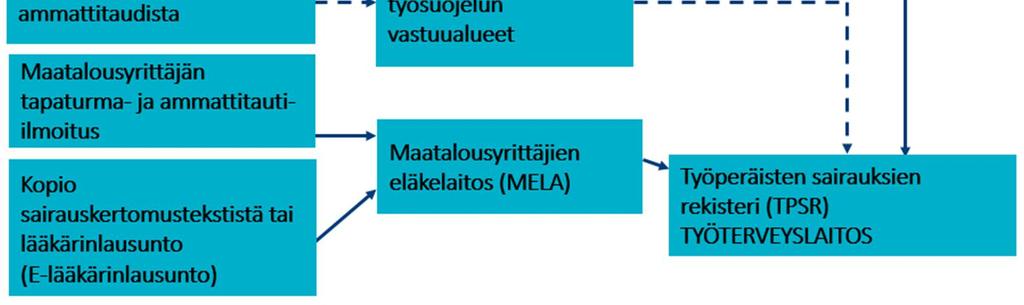 Rekisteröintivuosi TVK:n tapaukset TVK:hon saapumisvuoden perusteella MELA:n tapaukset TPSR:ään saapumisvuoden perusteella 3. Ilmenemisvuosi 4.