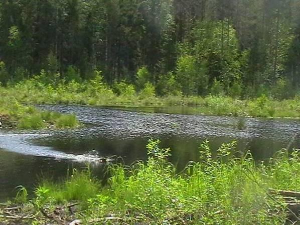 Yleissuunnitelman pohjalta valmistuivat toteutussuunnitelmat Juhala, Nivunpään, Koivurannan ja Triplan maatalouskosteikoille. Lisäksi Kivisuon metsätalouskosteikon suunnittelu on käynnissä.