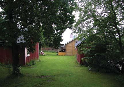 Vanha puu on jo kaadettu ja uusi istutettu tilalle. Nurmi yhdistää kaksi tonttia toisiinsa.