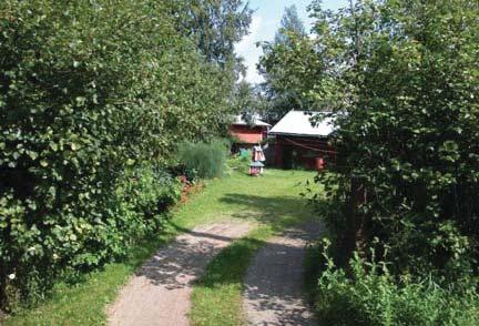 Tontin keskiosa on osittain avointa hiekkaista pihamaata, joka rajautuu pehmeästi ympärillä olevaan hyötypuutarhaan.