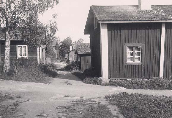 KALLIOMÄEN PIHAT, LINJAT JA PALOKUJAT Hoito ja käyttösuunnitelman taustamateriaalina toimii Pekka Passinmäen ja Miika Tuen tekemä Kalliomäen inventointi ja Pekka Passinmäen Kalliomäen