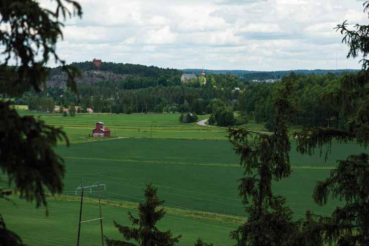 Linnavuorelta patikointireittiä voi jatkaa 110-tien toisella puolella sijaitsevalle Kreivinmäen