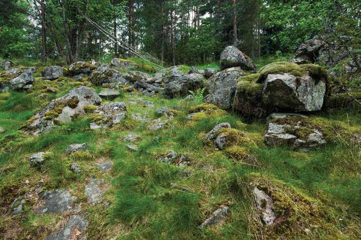 RAUTAKAUTINEN MARKKINAPAIKKA Rikalanmäki Halikonjoen länsirannalla on yksi Suomen merkittävimmistä muinaisjäännösalueista. Alueen vanhimmat löydöt ajoittuvat kivikaudelle.