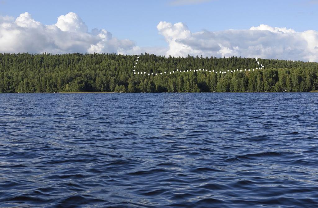 nykyiseen suojelualuerajaukseen. ELY-keskus esittää selkeästi liito-oravan ja valkoselkän suojelutarpeen alueella.