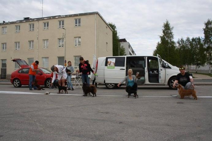 MUU TOIMINTA Luonnetesti Järjestettiin luonnetesti 28. 29.5.2016 Rovaniemellä.