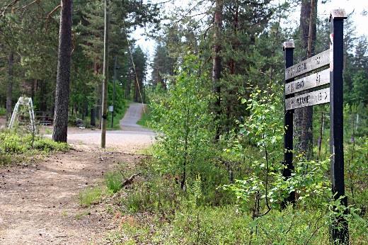 ylittää sen viistosti takaisin ylös ja jatkaa harjun