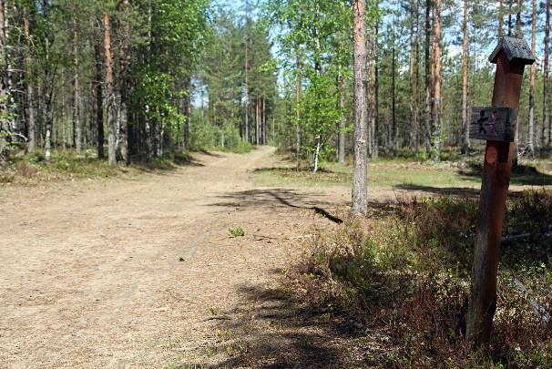 Polku kaartaa hiljalleen oikealle kohti etelää pari uraa