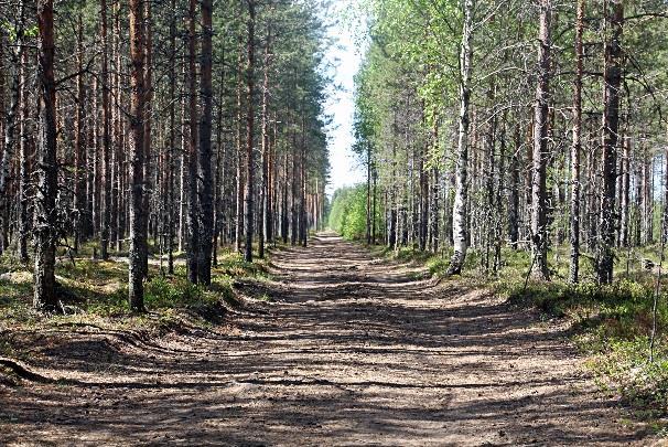 tie jatkuu suoraankin.