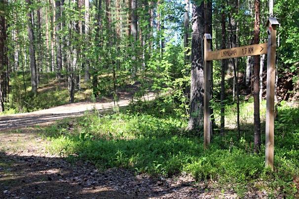 oikealle eroavan hiekkatien risteykseen ja viitoille