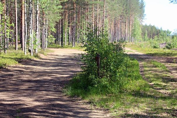 13,0km oikealle sekä tien yli osoittava