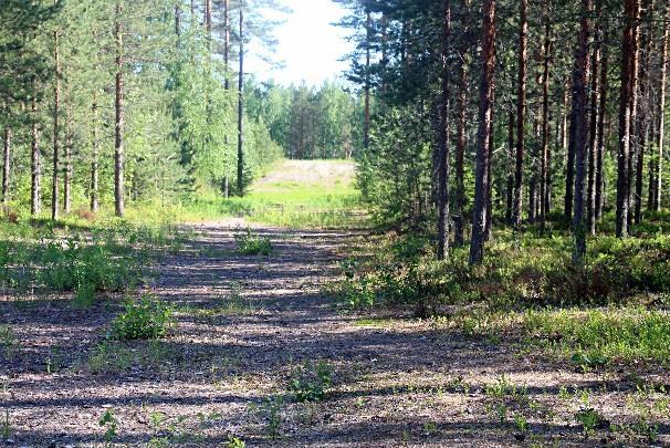 Jatkamalla tästä suoraan päätyy Lykynlammen