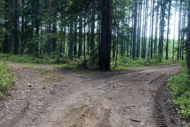 Lentokentän lähestymisvalojen alla polku ylittää