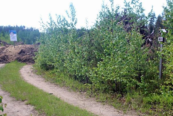 puolella viitaa osoittaa Joensuu 14,7km.