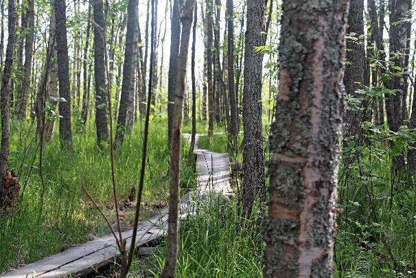 Sieltä pääsee eri reittiä takaisin