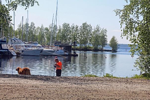 pieneläinklinikka ja tullaan Linnunlahden pienvenesatamaan.