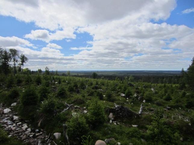 POSION KUNTA 26 Alueen maasto on vaihtelevaa. Maisemaa hallitsevat metsäiset vaarat ja vaarojen välien notkojen joet ja purot. Lisäksi järvet ja useat lammet sekä suoalueet monipuolistavat maisemaa.
