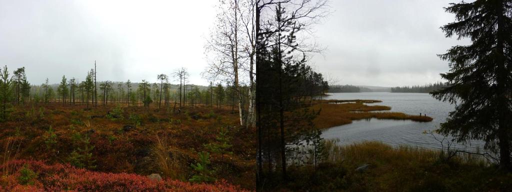 POSION KUNTA 38 Kuva 19. Suo-, vaara- ja järvimaisemia. Näkymiä kaava-alueelta. Kuva 20. Posio-Rovaniemi tiemaisemaa kaava-alueen kohdalla.