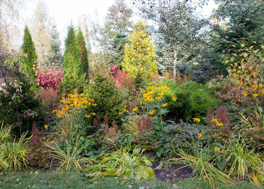 Runsaslajinen, värikäs ryhmä 1 Kuunlilja (Hosta) 2 Päivänlilja (Hemerocallis) 3 Jaloangervo (Astilbe) 4 Syyspäivänhattu (Rudbeckia) 5 Korallikanukka