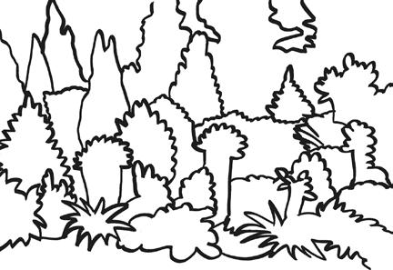 occidentalis Sunkist ) 8 Atsalea (Rhododendron) 9 Rohtokataja (Juniperus sabina) 10 Kääpiökoreanpihta (Abies koreana Nana ) mongolianvaahtera Acer tatricum