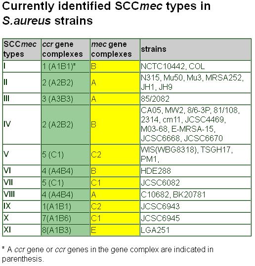 Staphylococcal casette chromosome mec SCCmec tyypitys IWG-SCC = International Working Group on the Staphylococcal Cassette Chromosome elements SCCmec-kasetit voidaan tyypittää ccr ja mec geenien