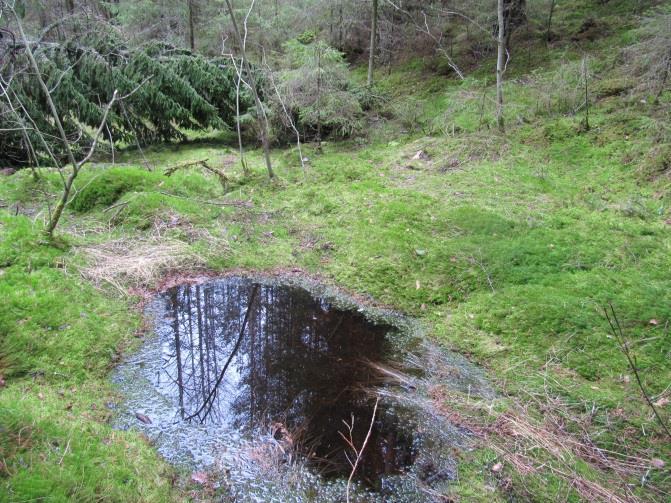 luontotyyppejä. Luonnontilaisia tai sen kaltaisia vesilain 2.