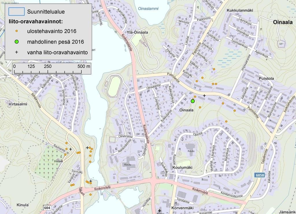 14 4.4.2 Vangonmäen hautausmaa Hautausmaa-Riihijärventie-Koskenväylä alueella havaittiin runsaasti liito-oravan jätöspuita, yhteensä 16 (kuva 4-8).