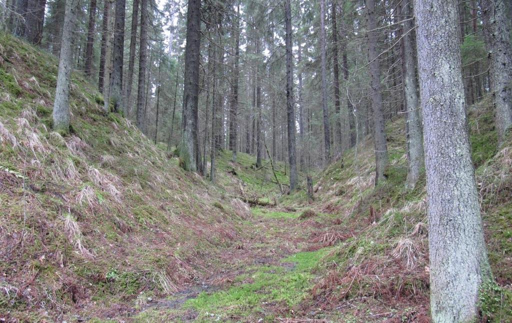 eteläpuoleisella alueella.