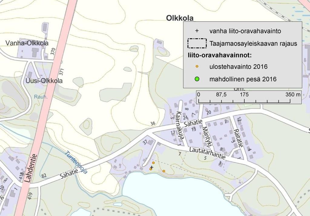 19 4.4.7 Olkkolanlahti Olkkolanlahden pohjukassa Lautatarhantien eteläpuolella on suurehko liito-oravan elinympäristöksi soveltuva
