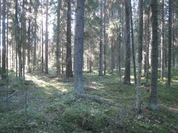 31 Kuva 17 Kuusivaltaista