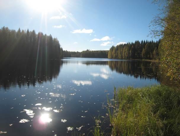 Alueen huomioinarvoisimmat elinympäristöt ovat Sorvajärvi kapeine sekapuustoisine rantametsineen (kuva 24) sekä Sorvajärven länsipuolisen mökkitien pohjoispuolella oleva