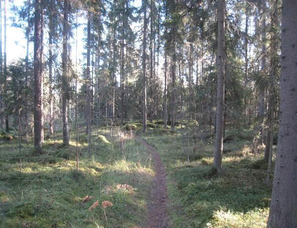 elinympäristöjä (kuva 28).