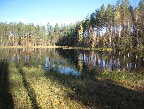 Haapajoenkulmassa.