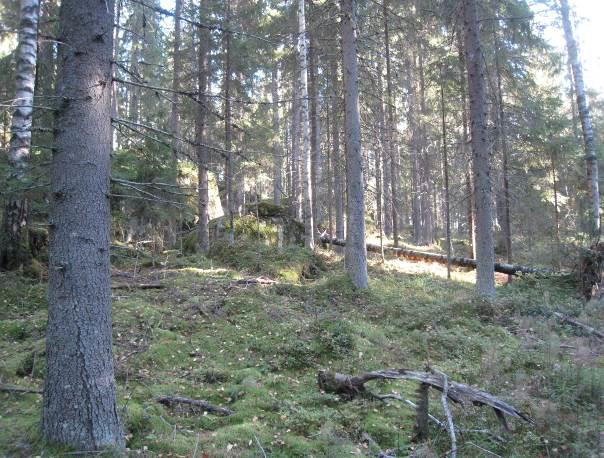 yläosan iäkästä