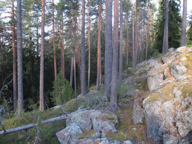 länsirinnettä, jossa