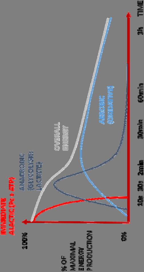 Fysiologinen tausta: Energiantuottomekanismit 1 2