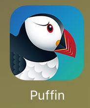 Once users experience the thrilling speed of Puffin, regular Mobile Internet feels like torture.