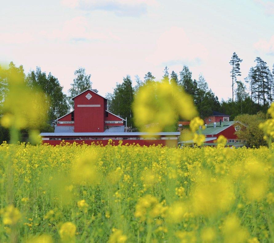 energiaomavaraisessa ruoantuotannossa Juha