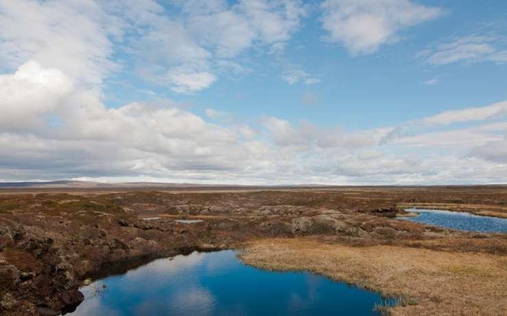 Kansainvälisesti tärkeiden lintualueiden seuranta Tero