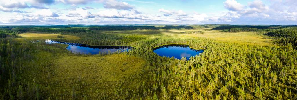 menestyksekäs yhteensovittaminen on