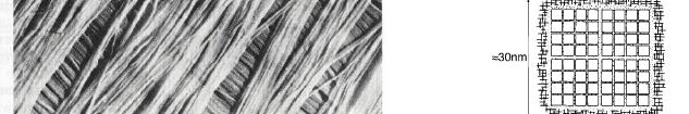 Cellulose