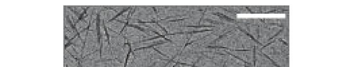 contains