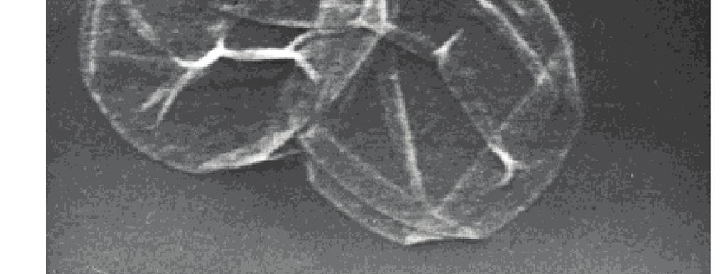 particle