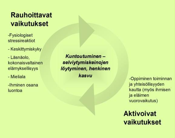 Kuvio 2. Luontoympäristön erilaiset vaikutukset (http://www.gcfinland.fi).